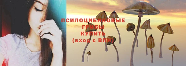 мяу мяу мука Арсеньев