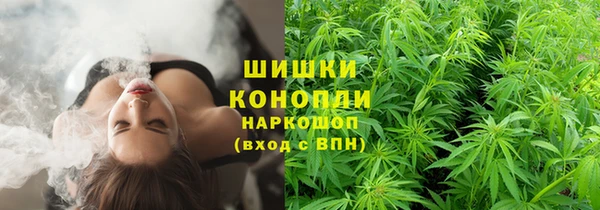 мяу мяу мука Арсеньев