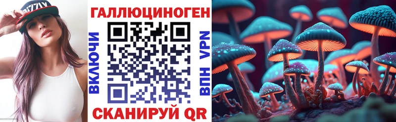 Галлюциногенные грибы Psilocybine cubensis  Полярные Зори 